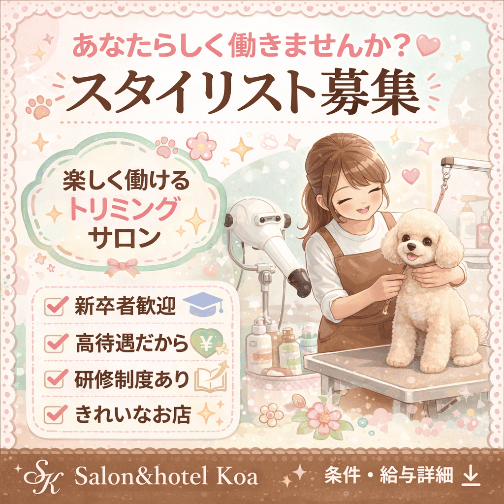 スタイリストとアシスタント募集