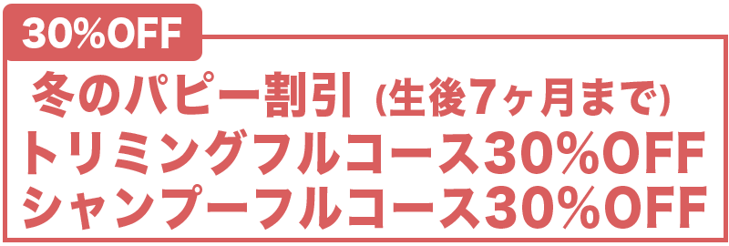 冬のパピー割引（生後７か月まで）トリミングフルコースとシャンプーフルコースが30%OFF