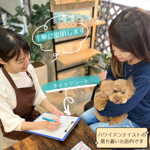 実績に基づいたカウンセリング