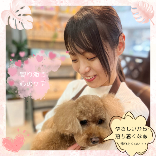 コミュニケーション