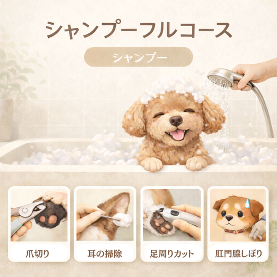 シャンプーコースのご案内