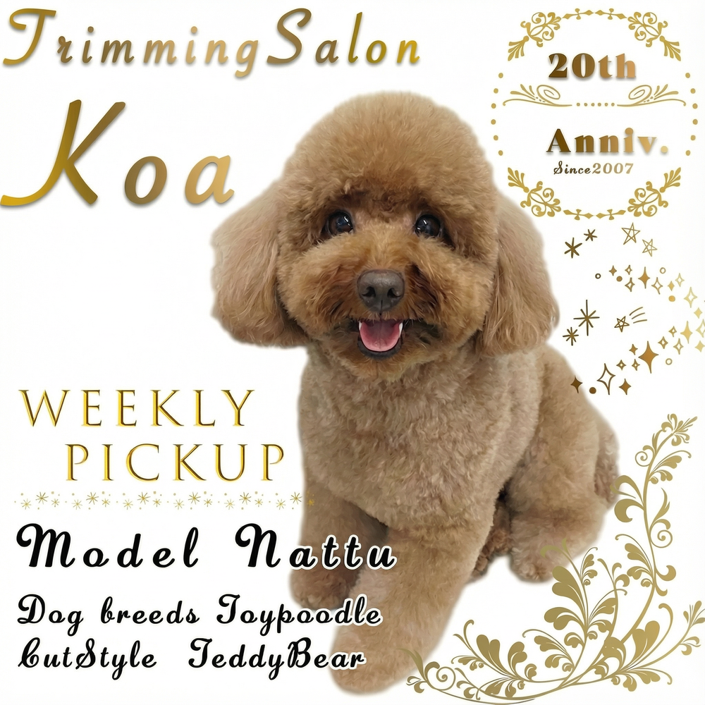 モデルはナッツちゃん