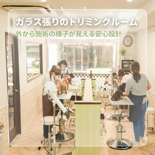 ガラス張りのトリミングルーム
