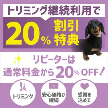 トリミング継続割引
