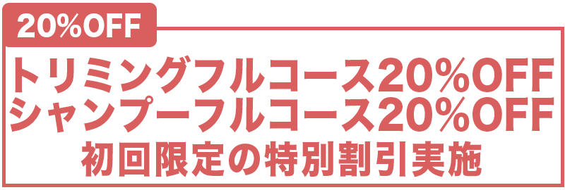 初回限定２０％割引キャンペーン