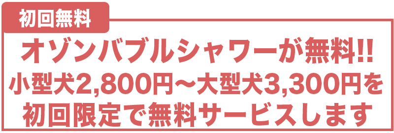 オゾンペットシャワー無料