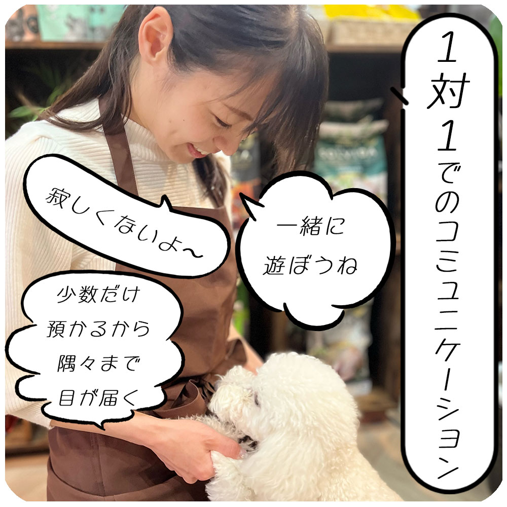 プライベート重視のサービス。スタッフとだけ遊びます