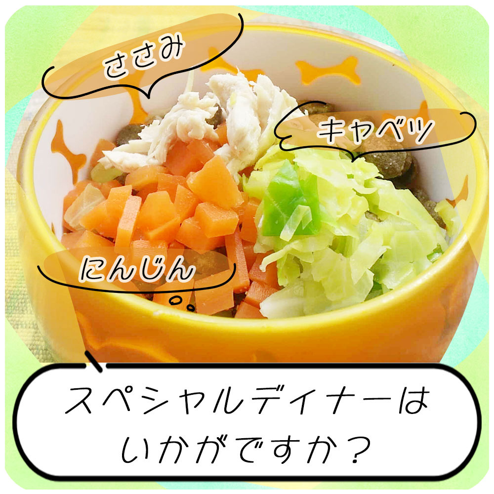 スペシャルディナー