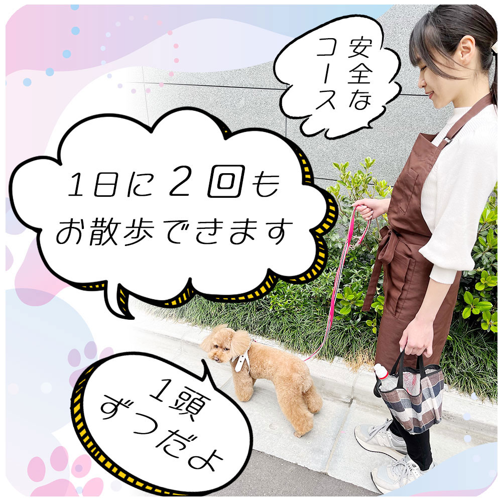 1日２回のお散歩