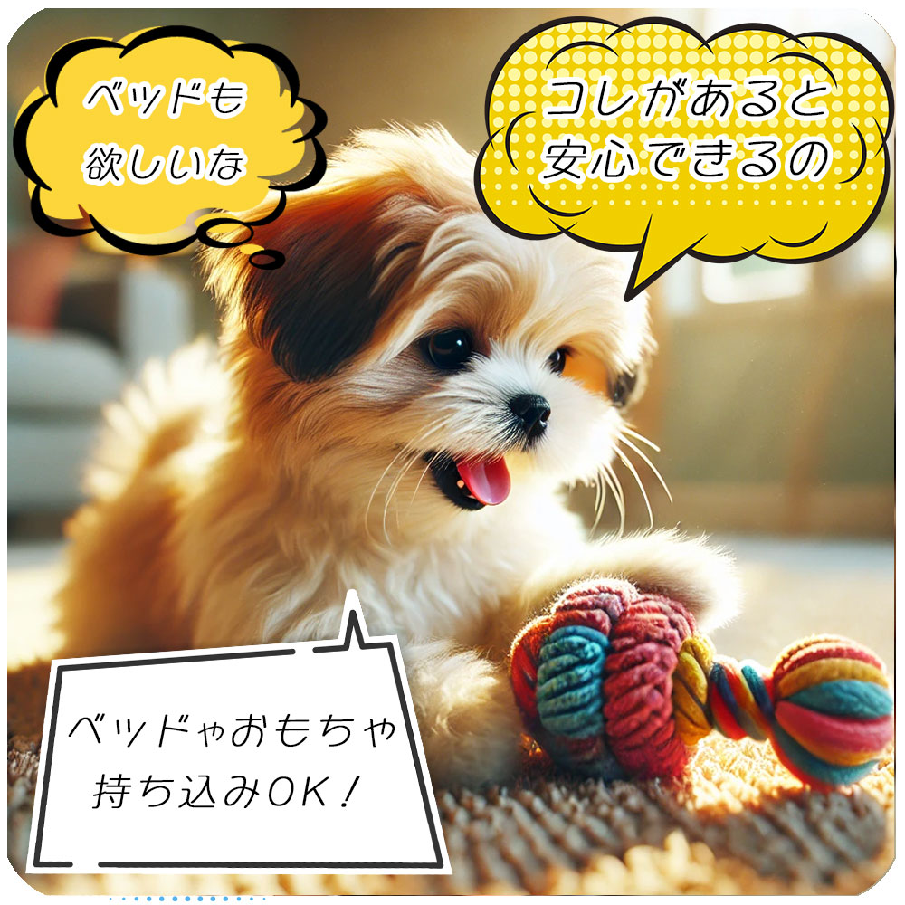 ベッドやおもちゃの持ち込みOK